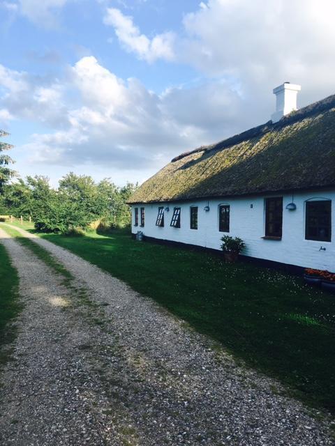 Apartamento Oster Mogensbaek #4 Sindal Exterior foto